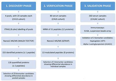 Association of the serological status of rheumatoid arthritis patients with two circulating protein biomarkers: A useful tool for precision medicine strategies